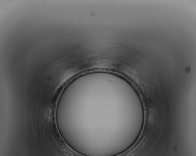 X0000098001258200804011824