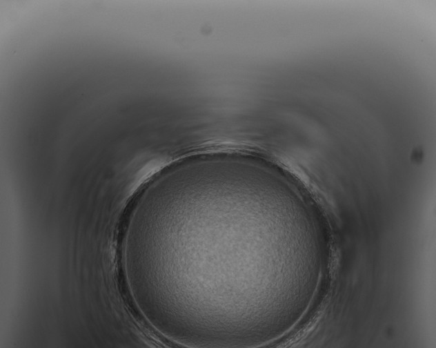 X0000098001259200804011824