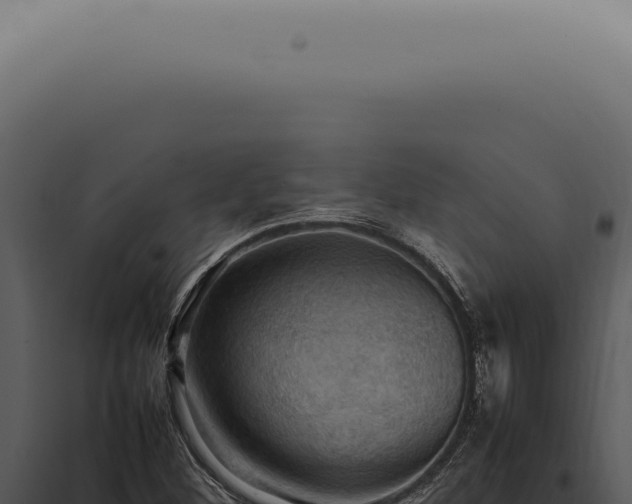 X0000098001260200804011824