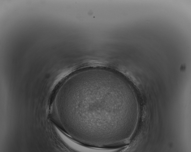 X0000098001261200804011824