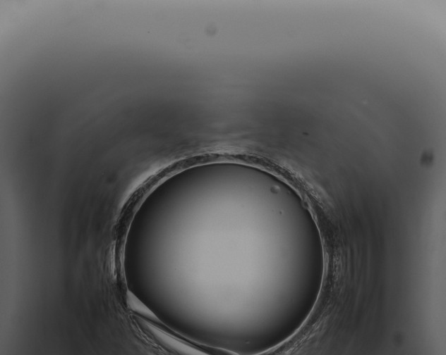 X0000098001262200804011824