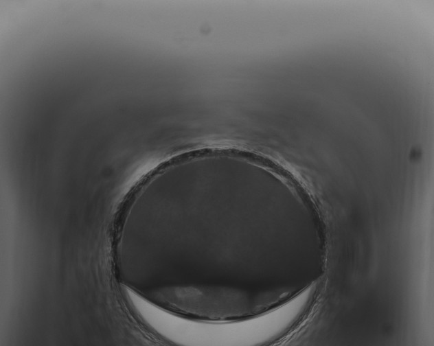 X0000098001263200804011824