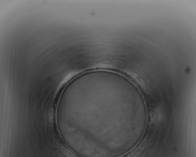 X0000098001266200804011824