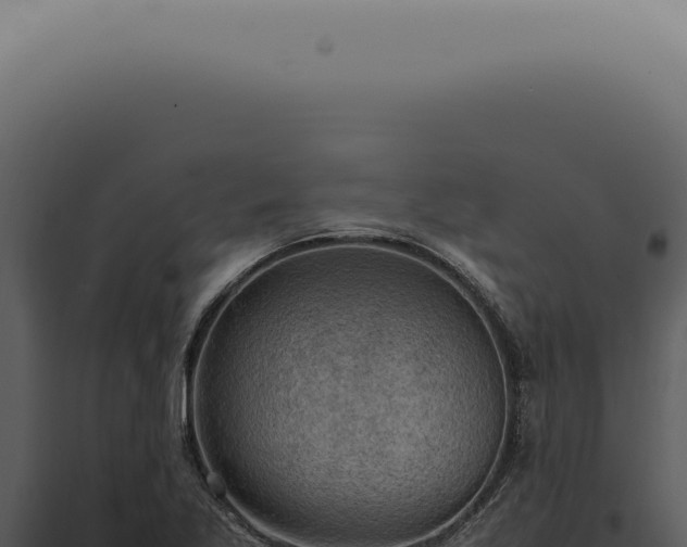 X0000098001269200804011824