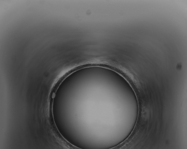 X0000098001270200804011824