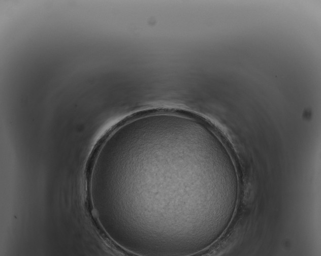X0000098001271200804011824