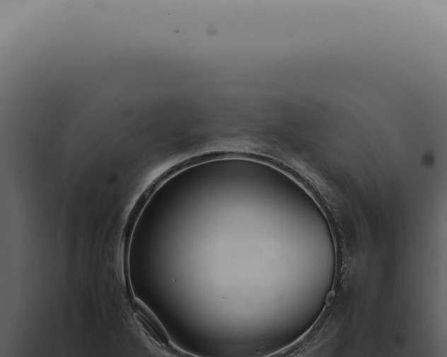 X0000098001272200804011824