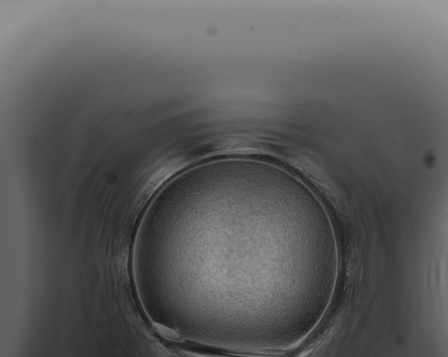 X0000098001273200804011824