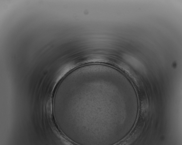 X0000098001274200804011824