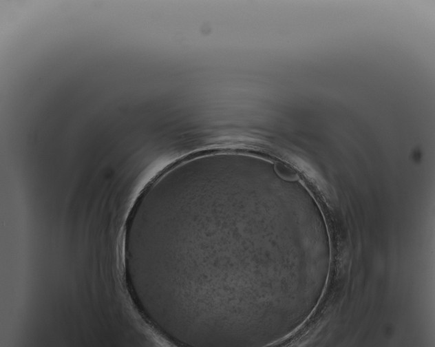 X0000098001275200804011824