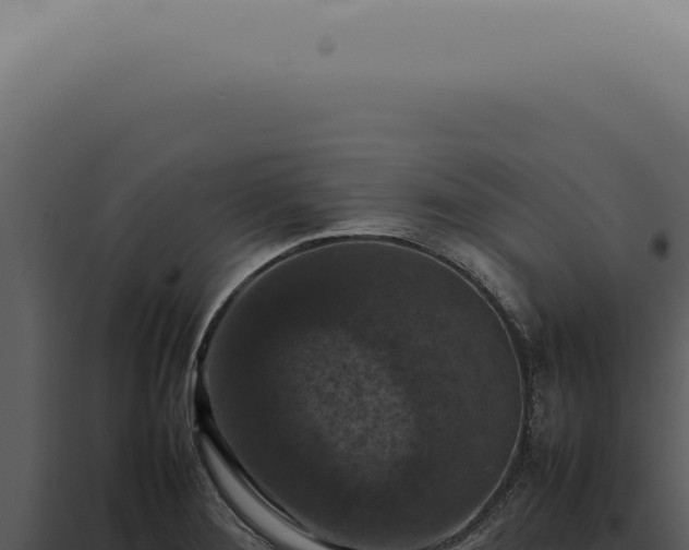 X0000098001276200804011824