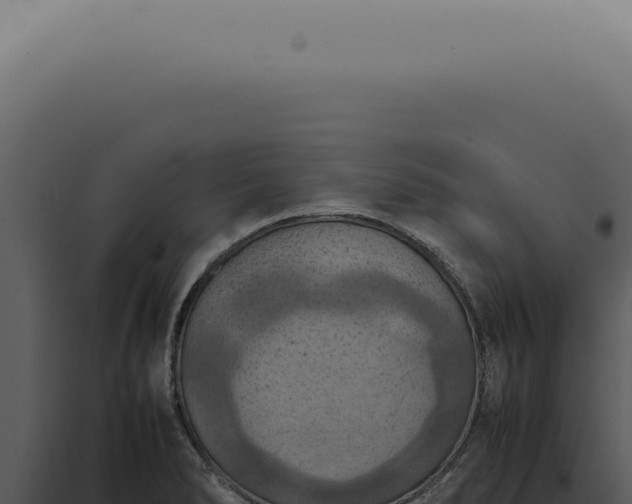 X0000098001278200804011824