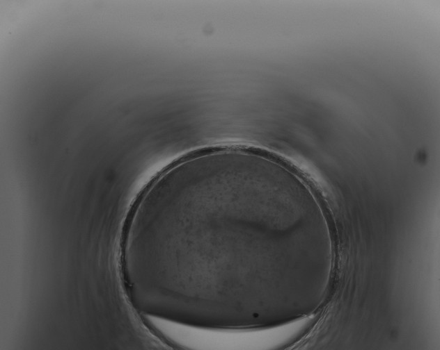 X0000098001279200804011824