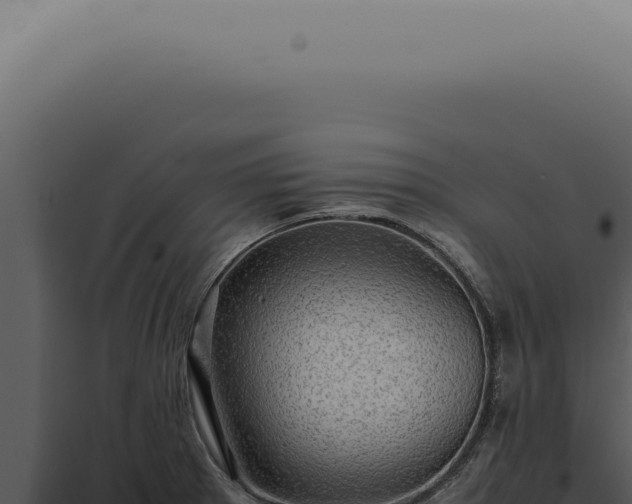 X0000098001281200804011824
