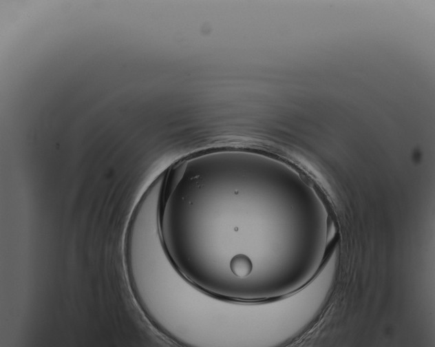 X0000098001283200804011824