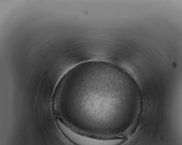 X0000098001284200804011824