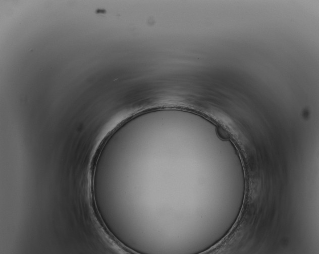 X0000098001286200804011824