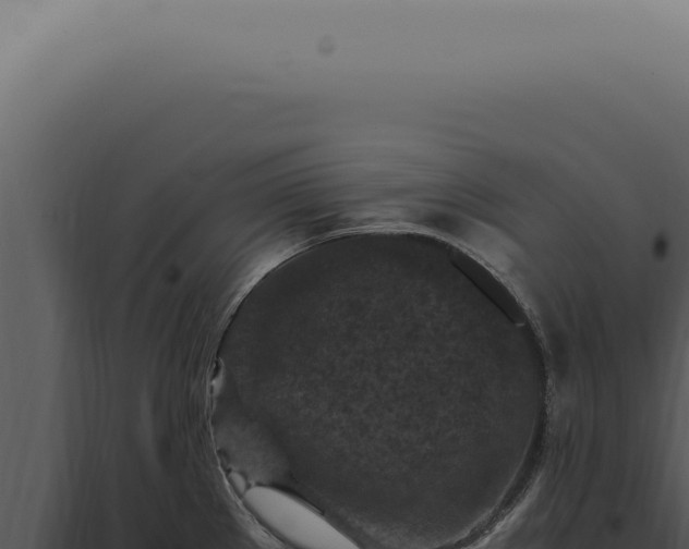 X0000098001289200804011824