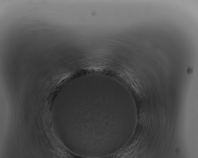 X0000098001297200804011823