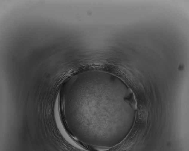 X0000098001298200804011823