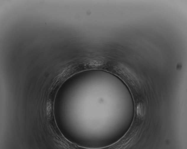 X0000098001299200804011823
