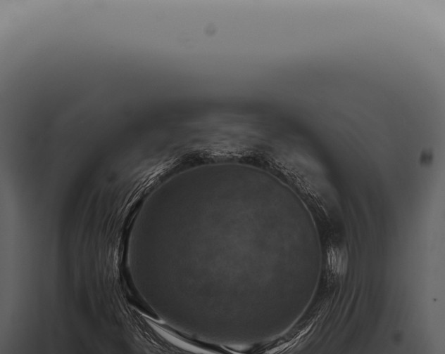 X0000098001300200804011823
