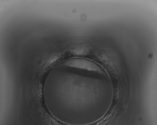 X0000098001301200804011823