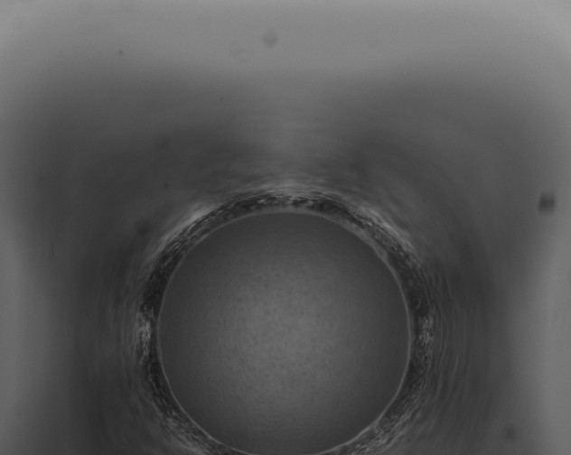 X0000098001302200804011823
