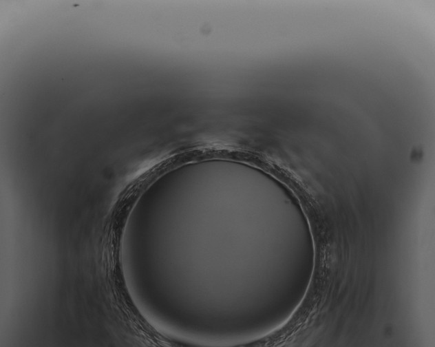 X0000098001303200804011823