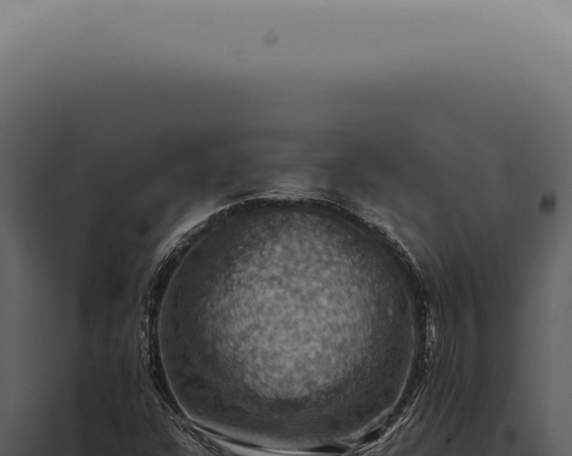 X0000098001304200804011823