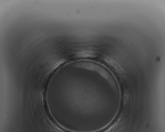 X0000098001305200804011823
