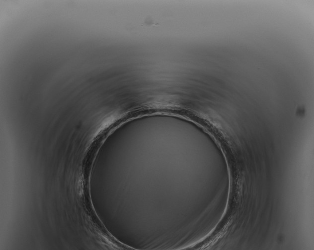 X0000098001306200804011823