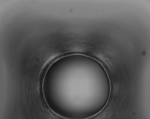 X0000098001307200804011823