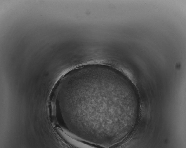 X0000098001308200804011823