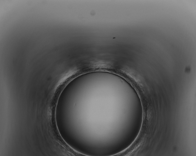 X0000098001309200804011823
