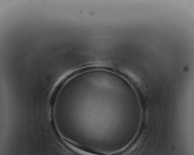 X0000098001310200804011823