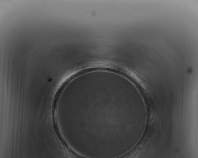 X0000098001312200804011823