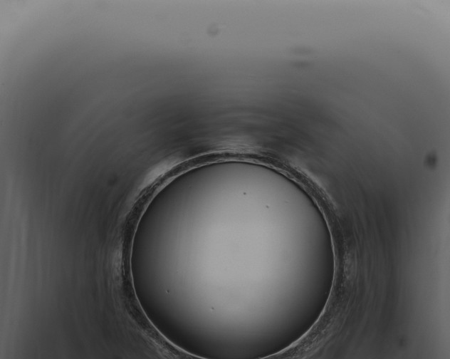 X0000098001315200804011823