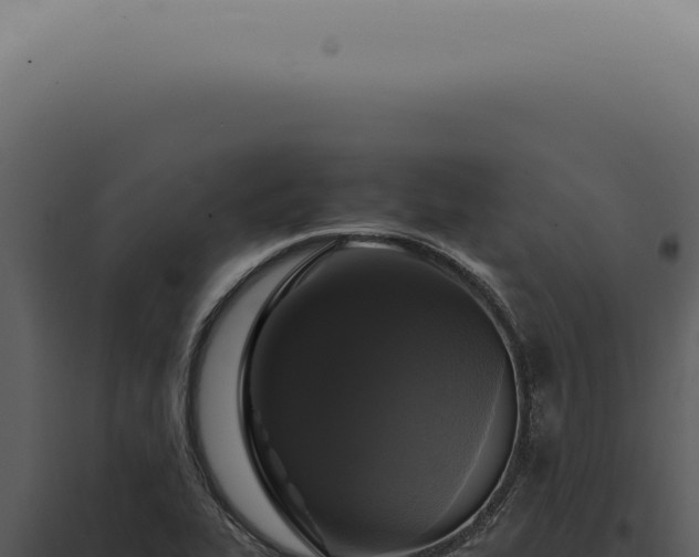 X0000098001319200804011823