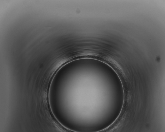 X0000098001321200804011823
