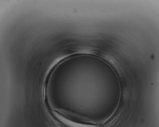 X0000098001323200804011823