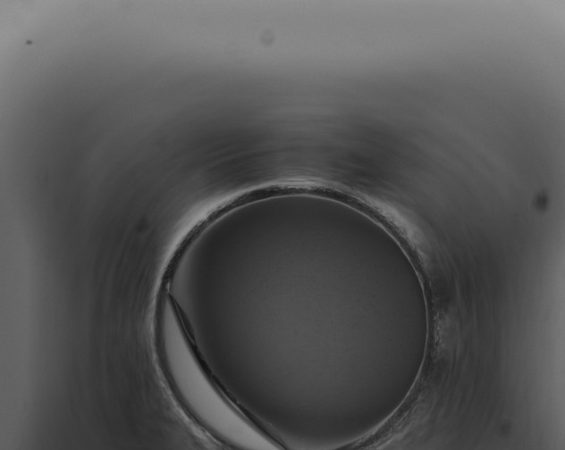 X0000098001327200804011823