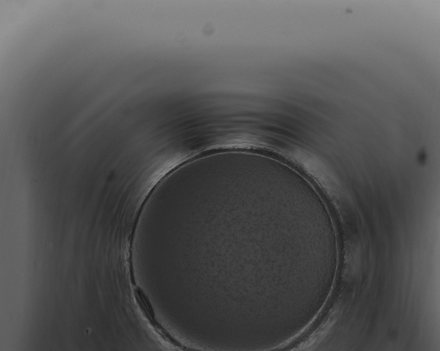 X0000098001329200804011823