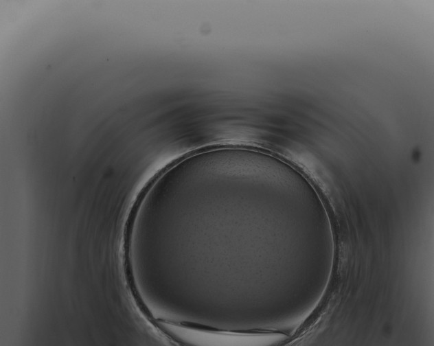 X0000098001331200804011823