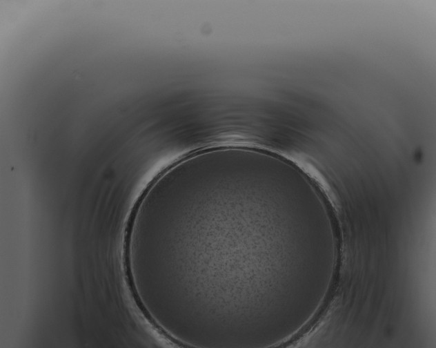 X0000098001333200804011823