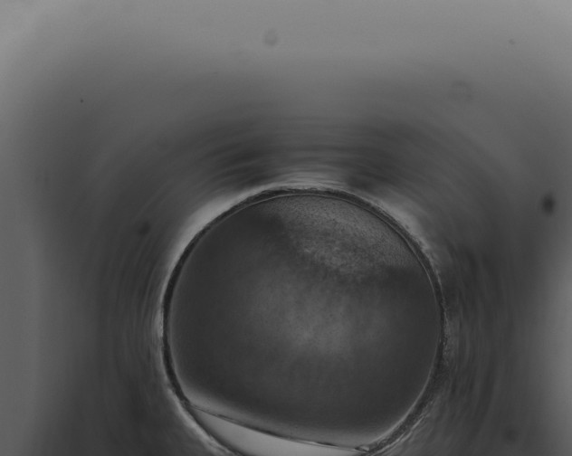 X0000098001335200804011823