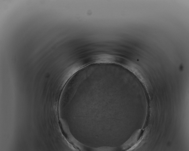 X0000098001337200804011823
