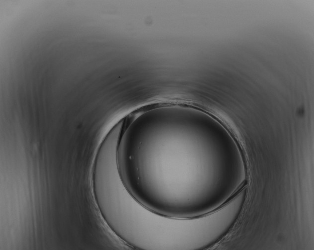 X0000098001344200804011824