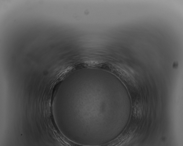 X0000098001346200804011823