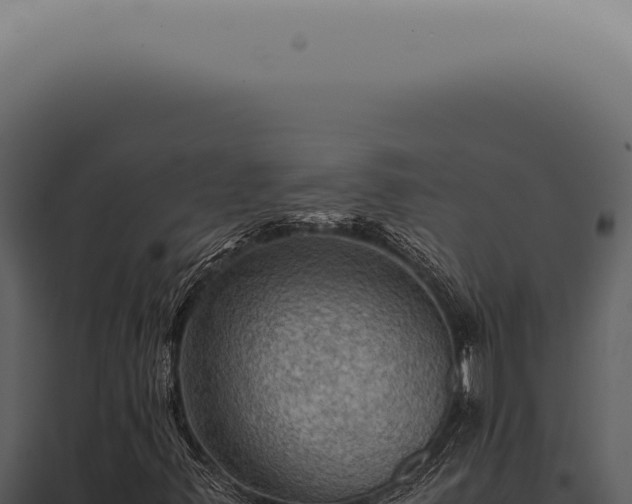 X0000098001347200804011823
